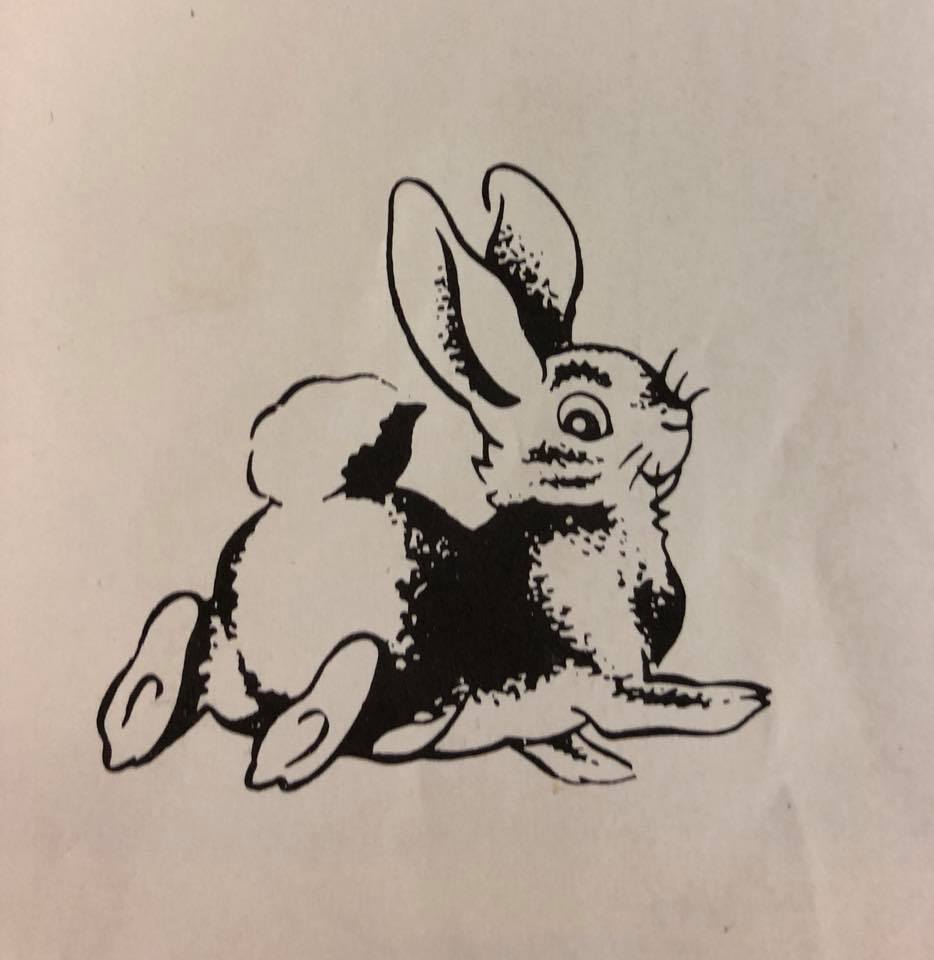 Rabbit Mascot